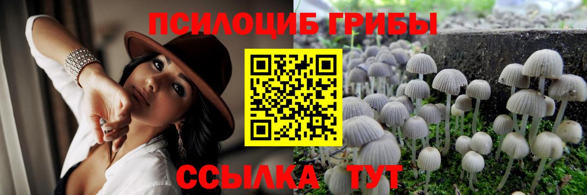 Псилоцибиновые грибы мицелий Нефтекамск