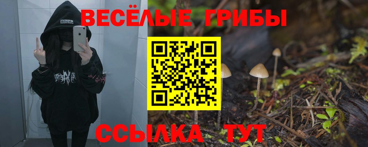 Псилоцибиновые грибы прущие грибы  Вход с VPN  Нефтекамск  Псилоцибиновые грибы Psilocybine cubensis 